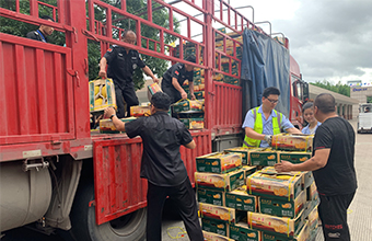 OG������(ȫվ)